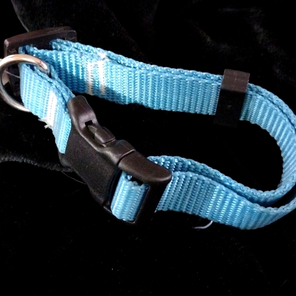 Dog collar, ice blue nylon